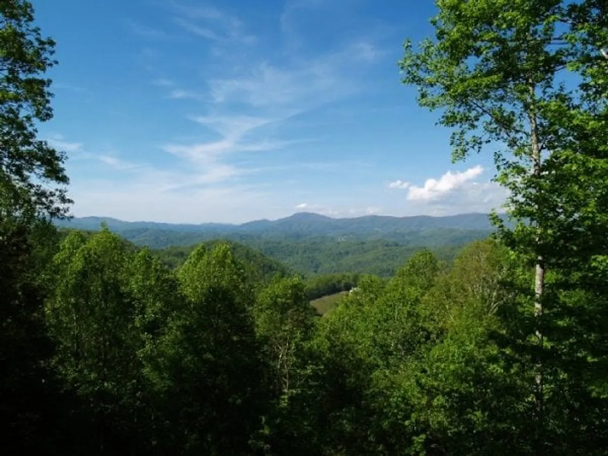 Lush green trees blanket the foreground, rolling into a dramatic mountain range beneath a vast blue sky. The open vista captures the grandeur and endless outdoor possibilities of the region.